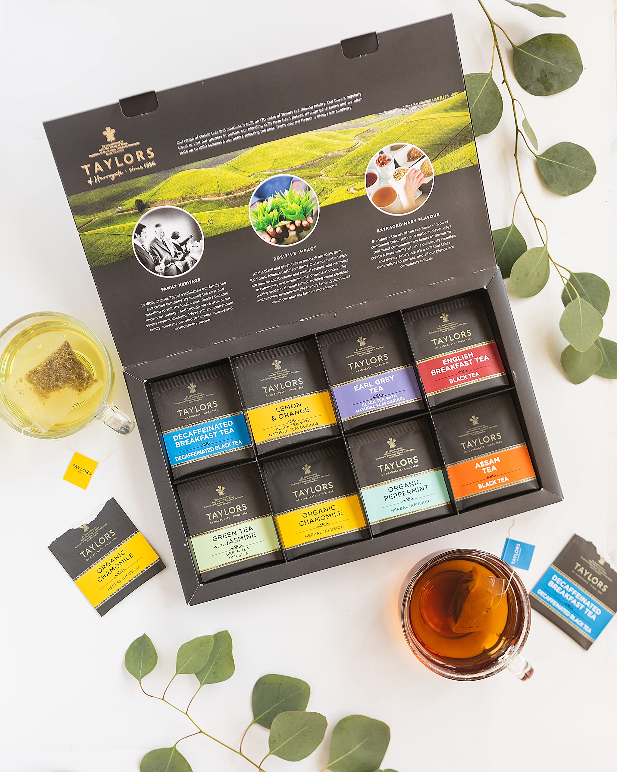 Taylors Tea Sampler View 4